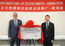 风云突变！莱比锡国际比赛日迎来里程碑，NBA总决赛版图或变，引发热议，团队化学反应显著的简单介绍